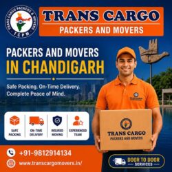 Trans Cargo Packers and Movers Chandigarh uses commercial-grade bubble wrap