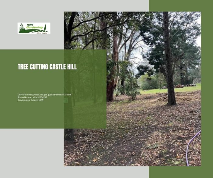 Tree Cutting Castle Hill