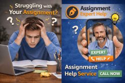 Professional Economic Assignment Help for Better Academic Performance