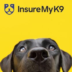 Animal Liability Insurance