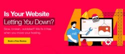 Website care plan