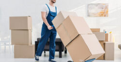 Packers and Movers in Kangra: Your Complete Guide to Safe and Hassle-Free Relocation
