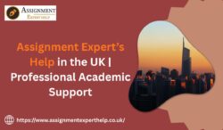 Childcare Assignment Help – Expert Guidance for Outstanding Academic Performance