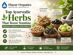 Top Ayurvedic Herbs That Boost Stamina Without Caffeine or Side Effects