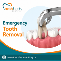 Best Dentist in Orangeville