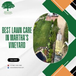 Best Lawn Care In Martha’s Vineyard