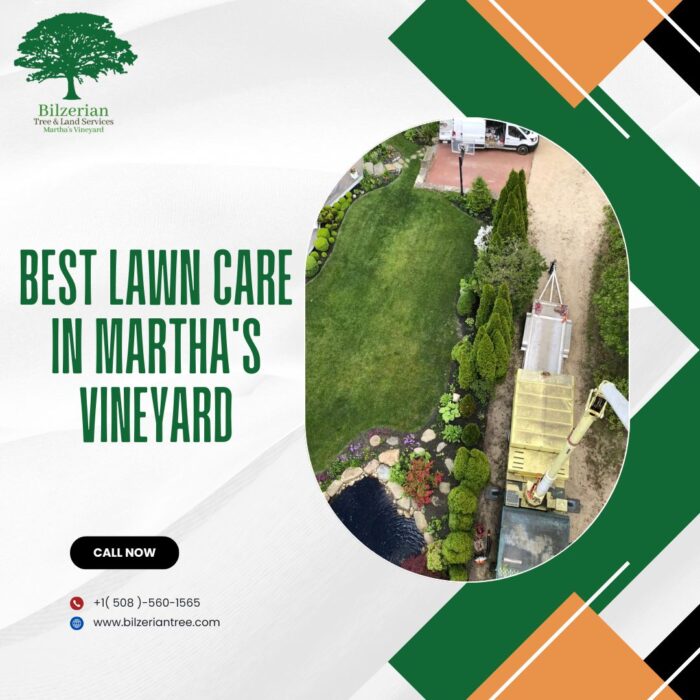 Best Lawn Care In Martha’s Vineyard