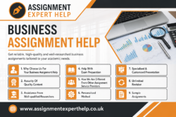 Reliable Online Business Assignment Help for Academic Success