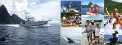 Enjoy a Relaxing Catamaran Tour in St. Lucia