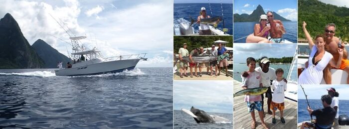 Enjoy a Relaxing Catamaran Tour in St. Lucia