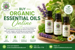 Buy Organic Essential Oils Online for Pure Natural Wellness