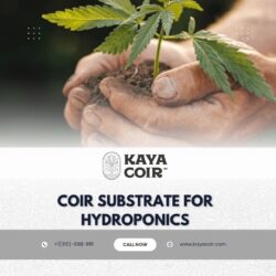 Coir substrate for hydroponics