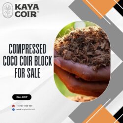 Compressed Coco Coir Block for Sale