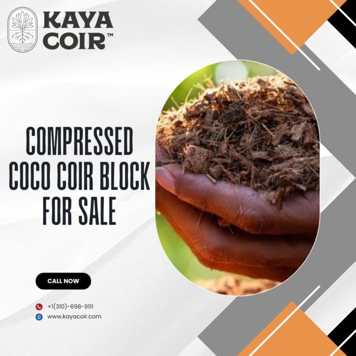 Compressed Coco Coir Block for Sale