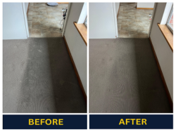Carpet Dry Cleaning Adelaide