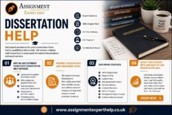 Comprehensive MBA Dissertation Help for Future Business Leaders
