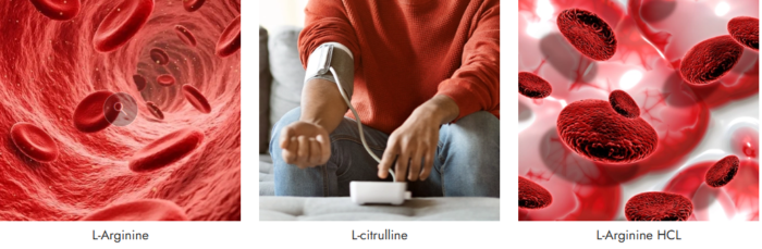BloodPril: Everything You Need Before Ordering This Popular Supplement