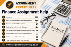 High-Quality Finance Assignment Help for Every Academic Level