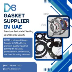 Gasket Supplier in UAE | Premium Industrial Sealing Solutions by DXBIS
