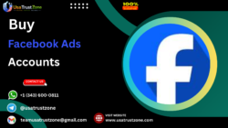 Top-Rated Vendors to Buy Facebook Ads Accounts: Verified & Tested