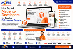 Hire Dedicated Magento Developer for E-commerce Stores