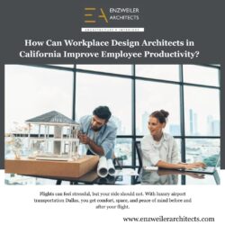 How Can Workplace Design Architects in California Improve Employee Productivity?
