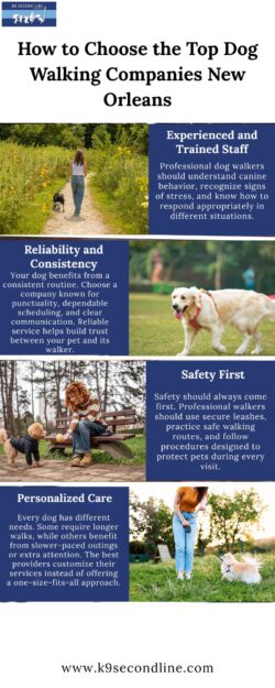 How to Choose the Top Dog Walking Companies New Orleans