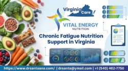 Fatigue And Gut Health