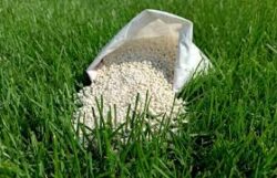 Best Marathon Grass Fertilizer Tips