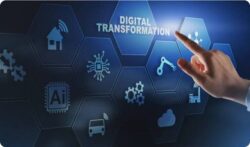 The Role of Digital Transformation Management in Lasting Success