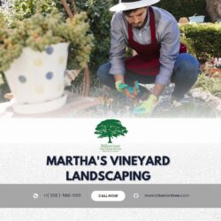 Martha’s Vineyard Landscaping