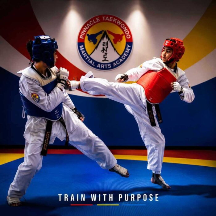 Pinnacle Martial Arts | MARTIAL ARTS Marrickville Training