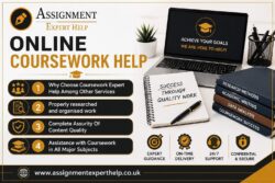 Professional Marketing Coursework Help for Student Success