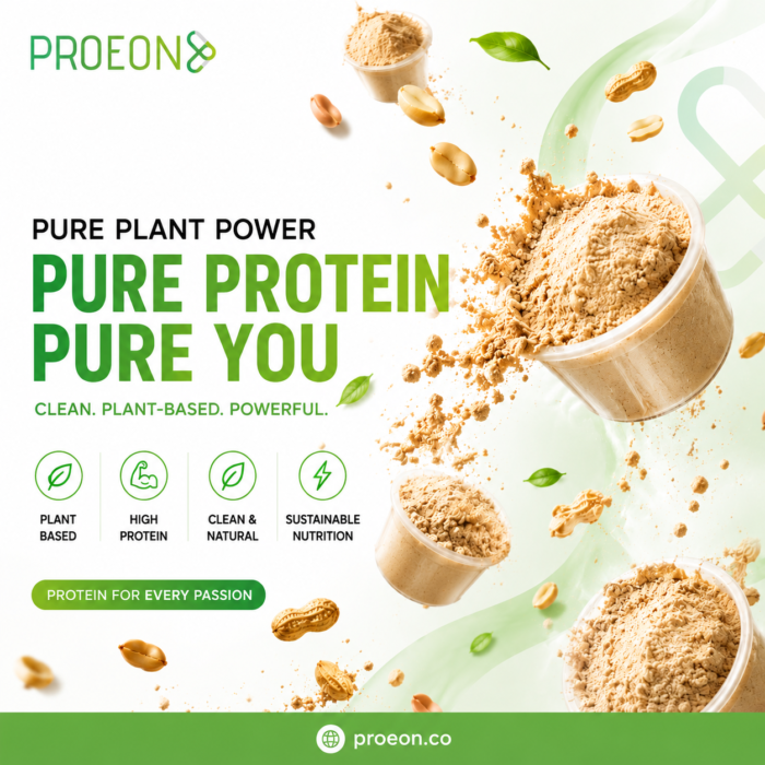 Peanut Protein Manufacturer India