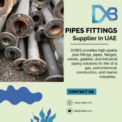 Pipes Fittings Supplier in UAE | Premium Industrial Piping Solutions – DXBIS