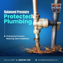 Professional Pressure Reducing Valve Installation