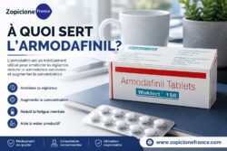 À quoi Sert l’Armodafinil?