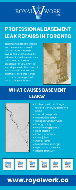 Professional Basement Leak Repairs in Toronto