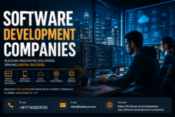 Top Software Development Companies | Hire Trusted IT Experts
