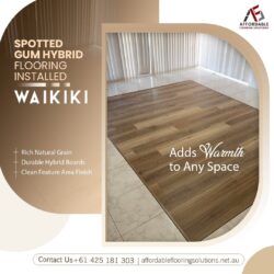 Spotted Gum Hybrid Flooring installed