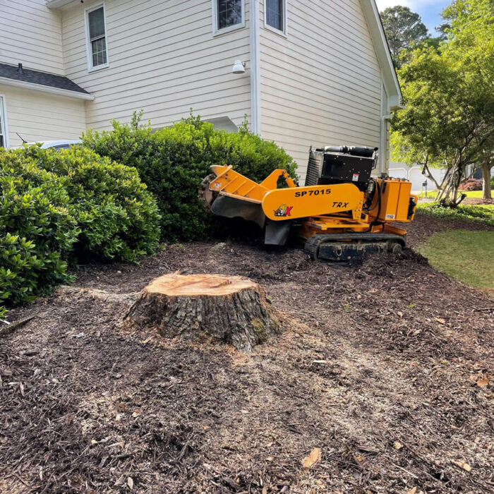 Stump Grinding Canberra