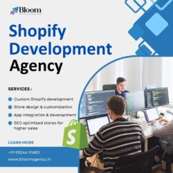 Why choose our Shopify website development services?