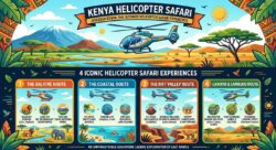 Kenya Helicopter Safari to Kenya’s Ancient Cycad Forest