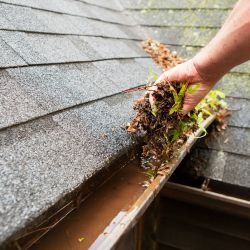 Windy City Gutter Cleaning: Gutter Cleaning in Niles for Efficient Water Flow