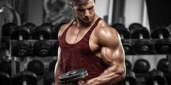 Best SARMs for Muscle Growth: Popular Muscle Building Options Explained with Balanced Educationa ...