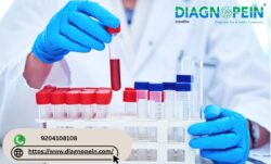 Trusted CBC Blood Test in Pune | Accurate & Convenient Testing
