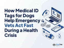 Medical ID Tags for Dogs – Smart Digital Health & Safety Tags