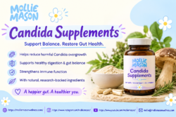 Best Probiotic Supplement For Candida Overgrowth