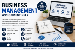 Contemporary Business Management Assignment Help