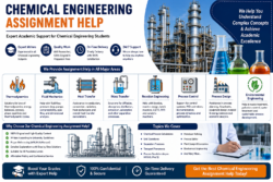 Chemical Process Design Assignment Support